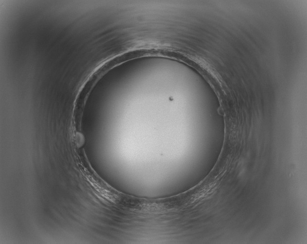 X0000076060927200610061532