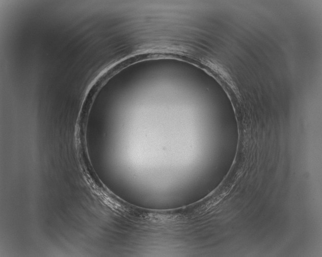 X0000076060928200610061532