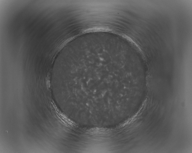 X0000076060929200610061532