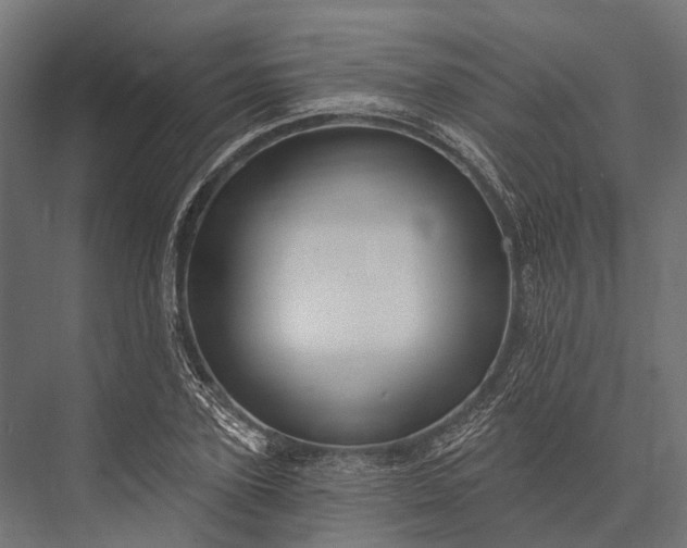 X0000076060931200610061532