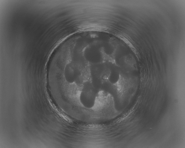 X0000076060933200610061532