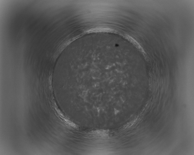 X0000076060937200610061532