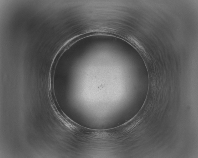 X0000076060940200610061532