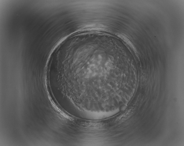 X0000076060941200610061532