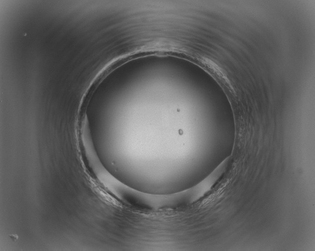 X0000076060942200610061532