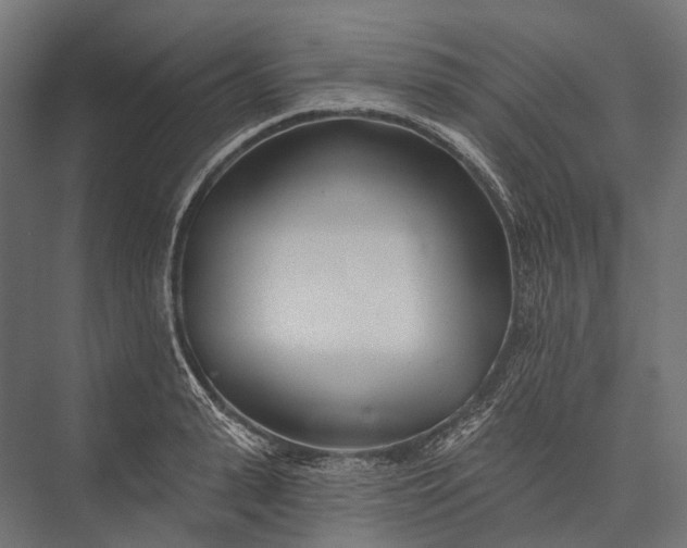 X0000076060943200610061532