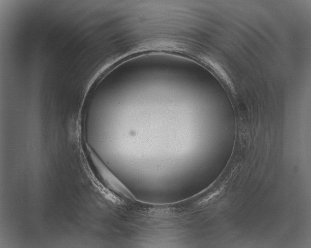 X0000076060944200610061532