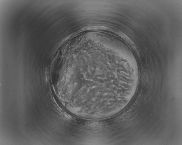 X0000076060945200610061532