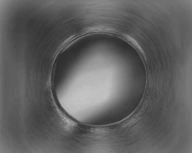 X0000076060946200610061532