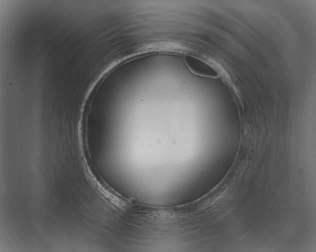 X0000076060947200610061532