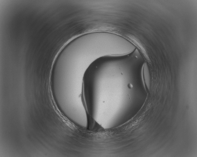 X0000076060948200610061532