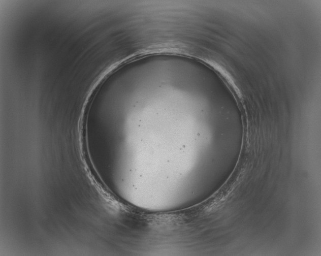 X0000076060949200610061533