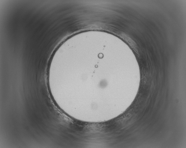 X0000076060950200610061533