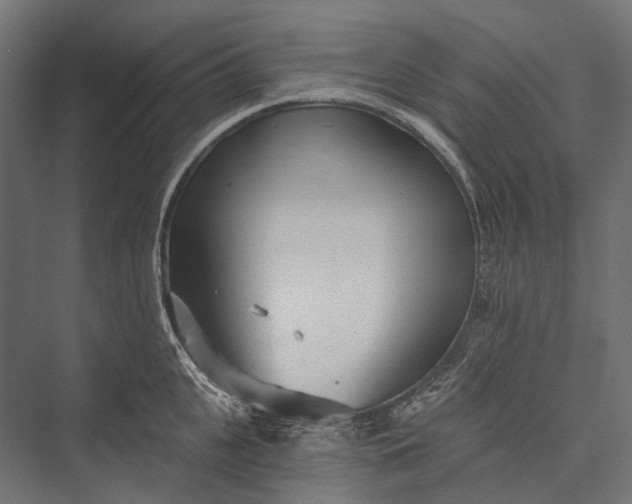 X0000076060951200610061533