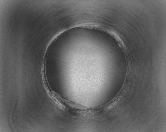 X0000076060952200610061533