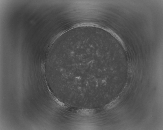 X0000076060953200610061533