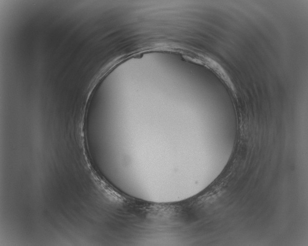 X0000076060954200610061533