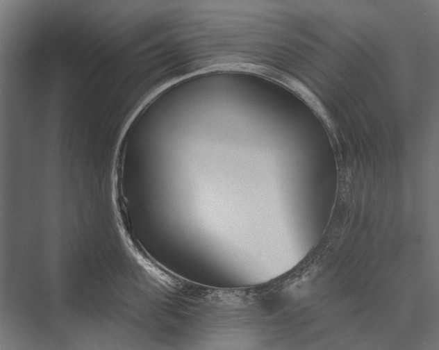 X0000076060955200610061533