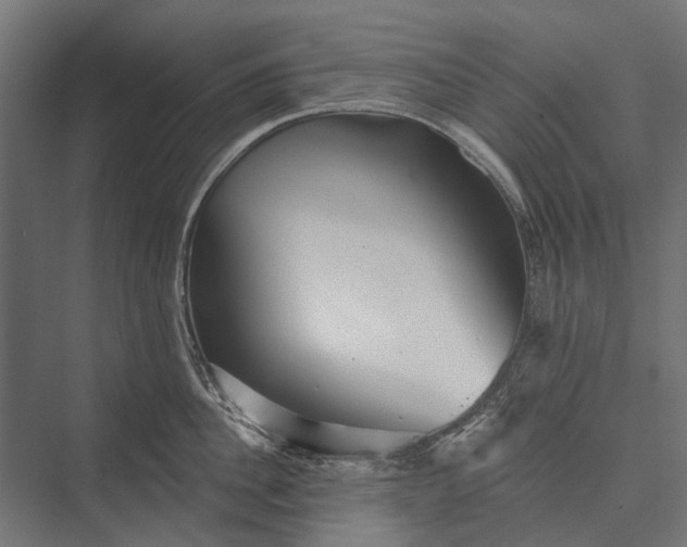 X0000076060956200610061533