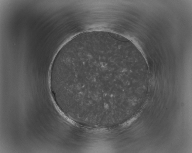 X0000076060957200610061533