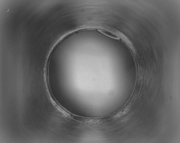 X0000076060958200610061533