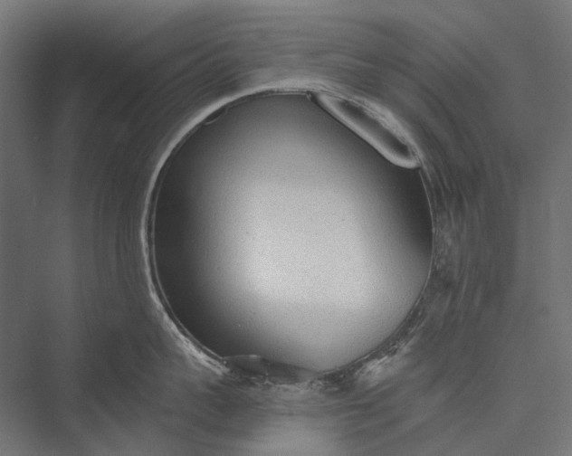 X0000076060959200610061533