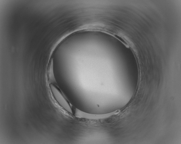 X0000076060960200610061533