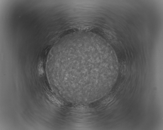 X0000076060962200610061532