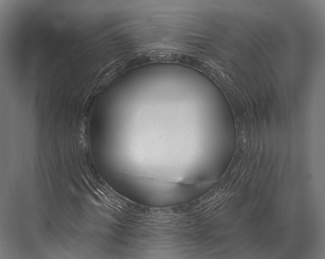 X0000076060964200610061532