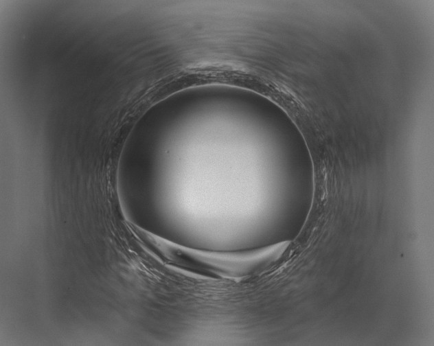 X0000076060965200610061532