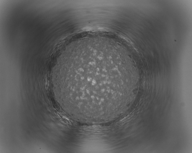 X0000076060966200610061532