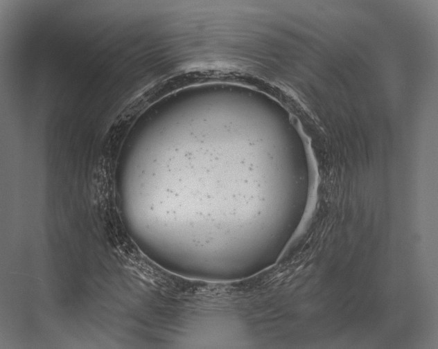 X0000076060967200610061532