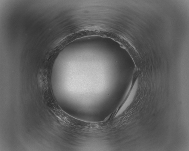 X0000076060968200610061532