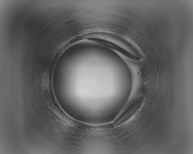 X0000076060969200610061532