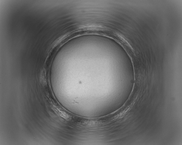 X0000076060970200610061532