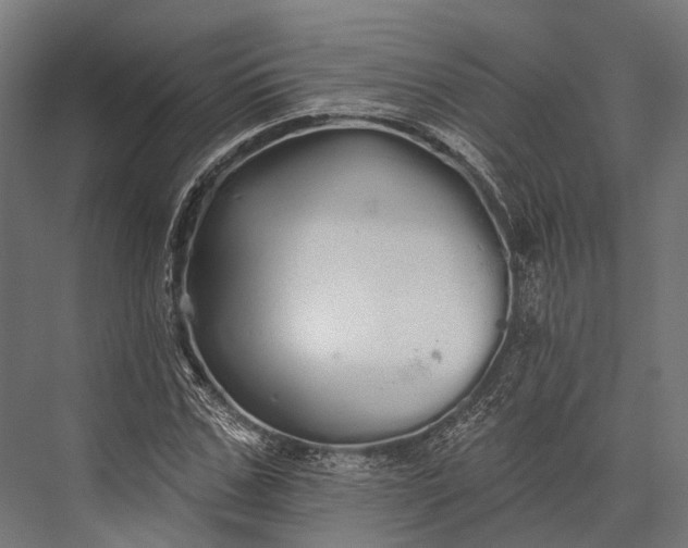 X0000076060971200610061532