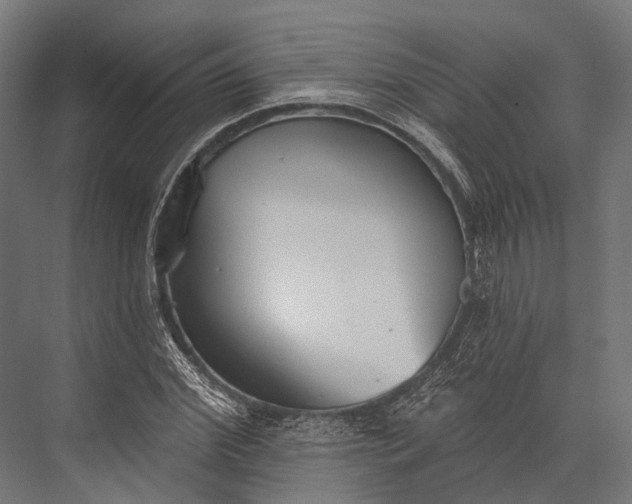 X0000076060972200610061532