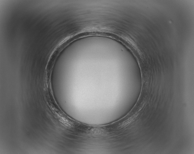 X0000076060974200610061532