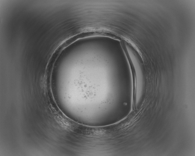 X0000076060975200610061532