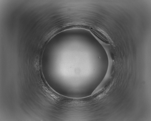 X0000076060977200610061532