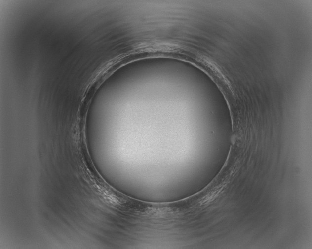 X0000076060978200610061532