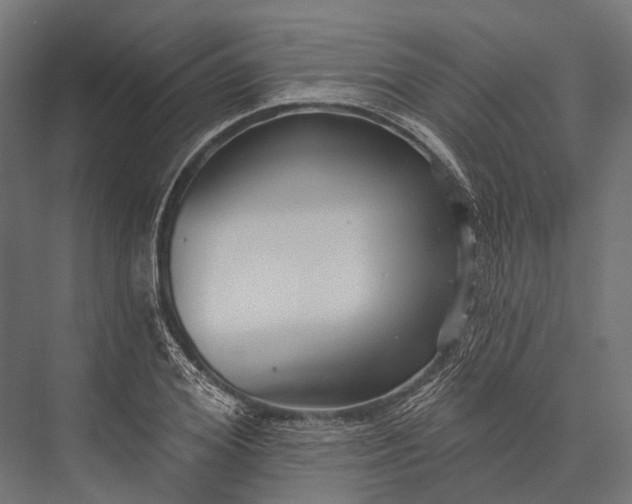 X0000076060980200610061532