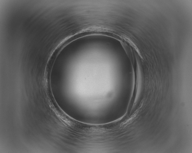 X0000076060981200610061532