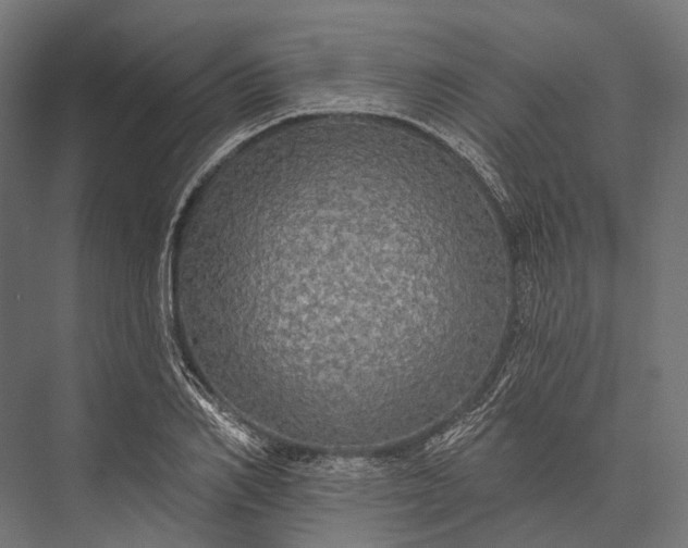 X0000076060982200610061532