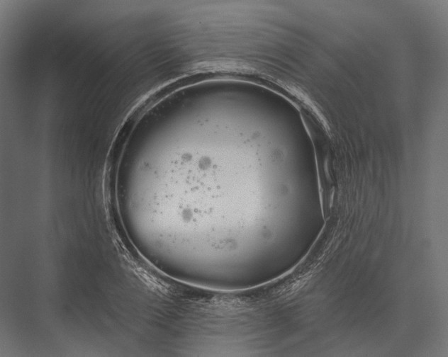 X0000076060983200610061532