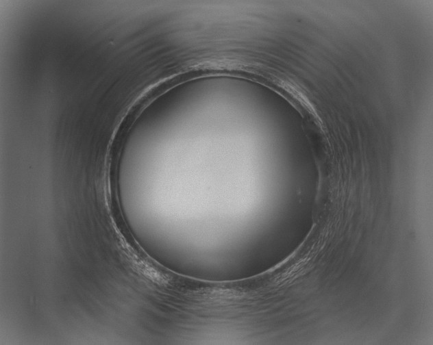 X0000076060984200610061531