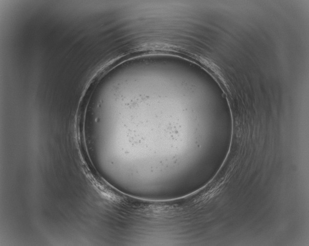 X0000076060987200610061531