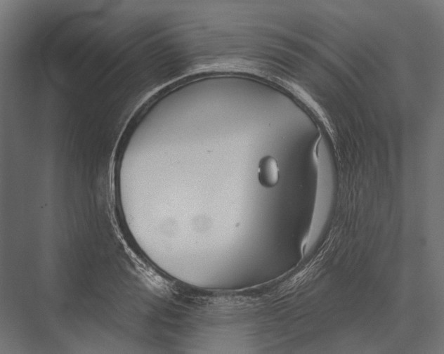 X0000076060988200610061531