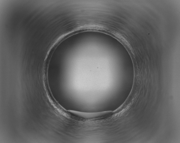 X0000076060989200610061531