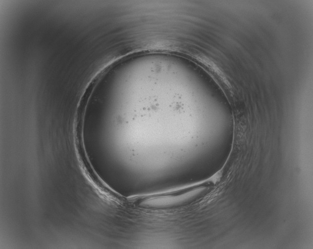 X0000076060991200610061531